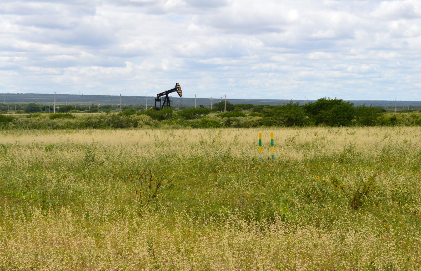 Nikon D3200 sample photo. Grass, field, landscape photography