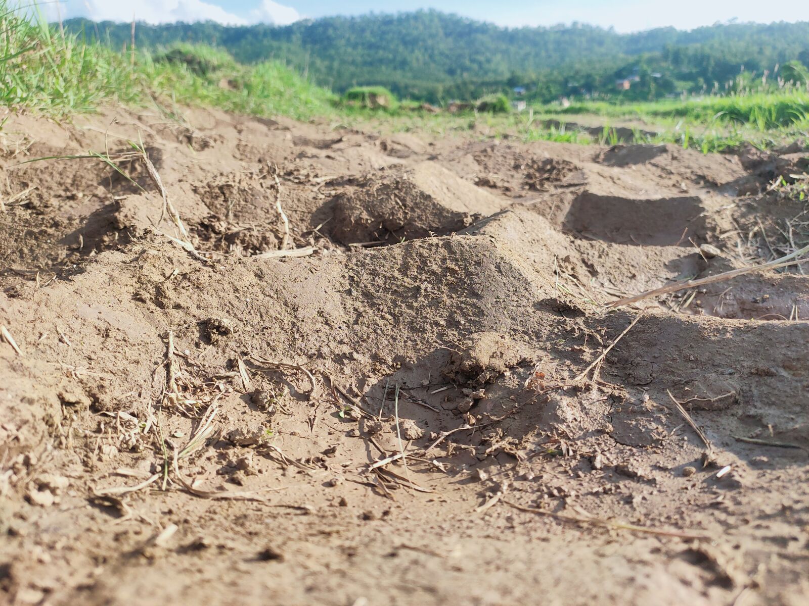 Realme 5 PRO sample photo. Nature, nepal, soul photography