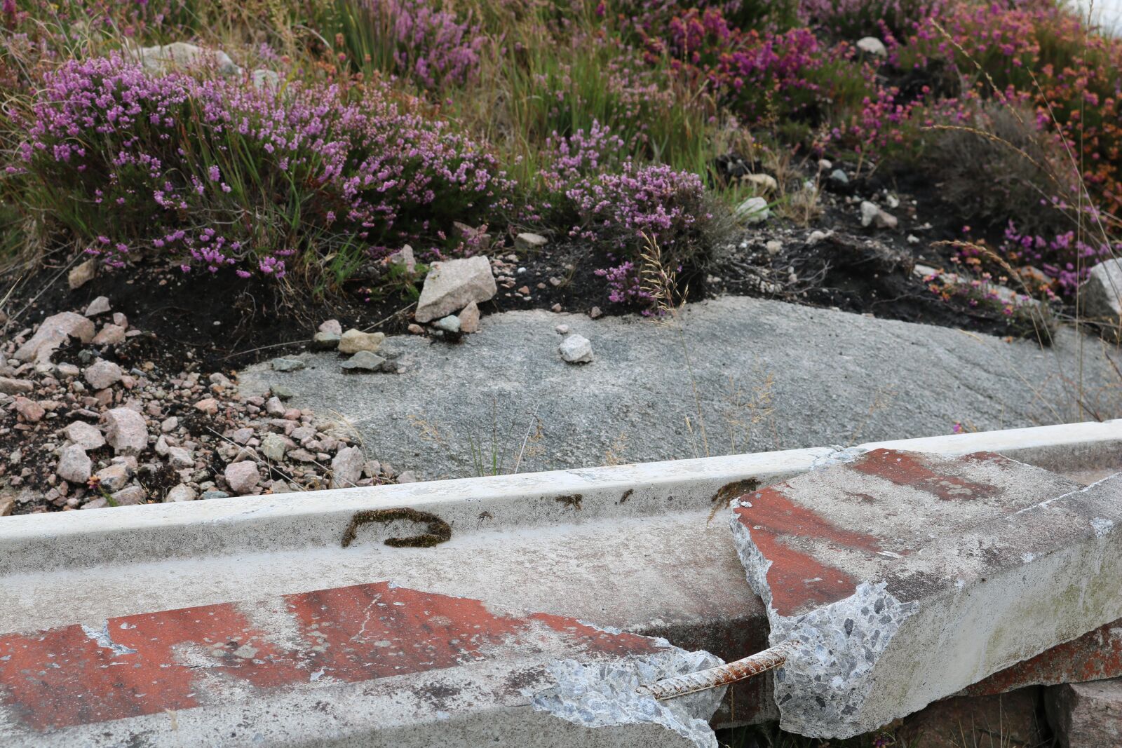 Canon EOS 750D (EOS Rebel T6i / EOS Kiss X8i) sample photo. Concrete, abandoned, destruction photography