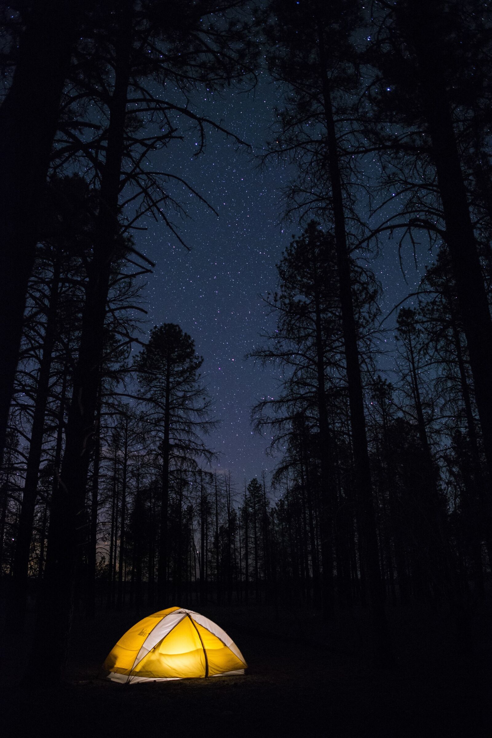 Nikon D610 sample photo. Camping, night, tent photography