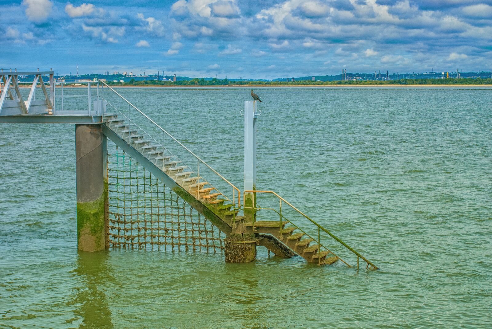 Nikon D80 sample photo. Sea, bridge, bird photography