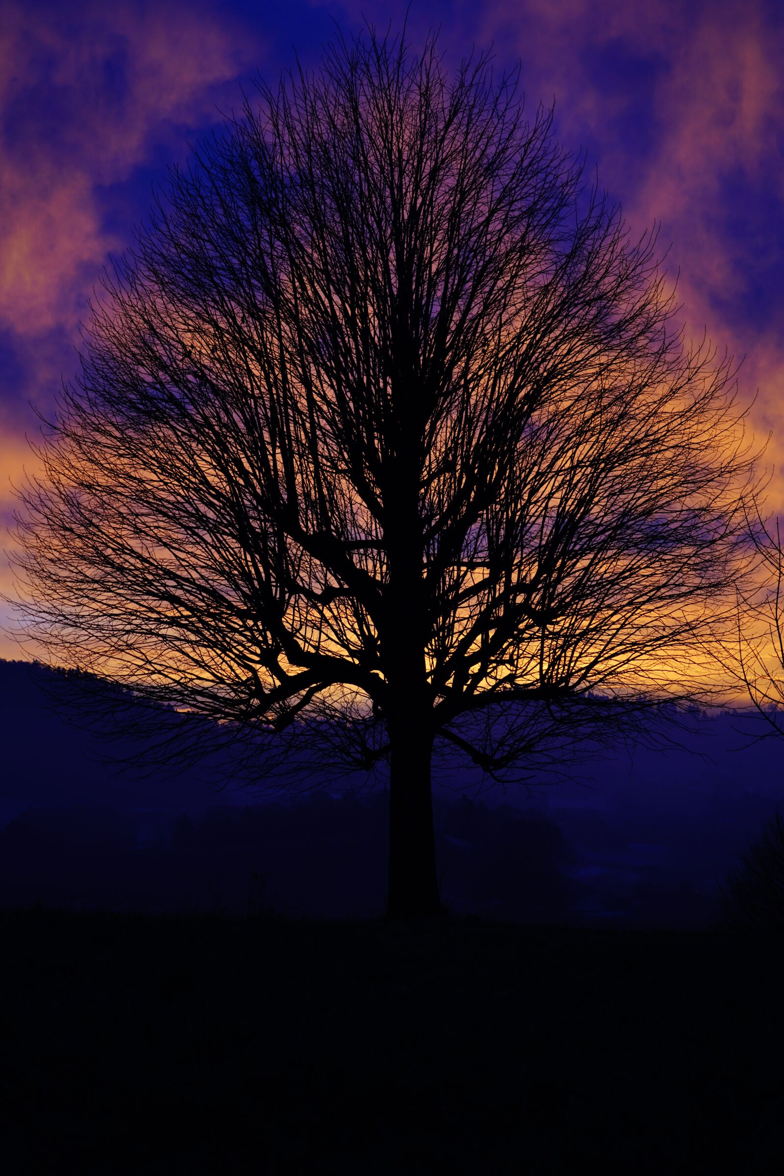 Sony a7R II + Sony FE 24-240mm F3.5-6.3 OSS sample photo. Solitary tree, sunset, sky photography