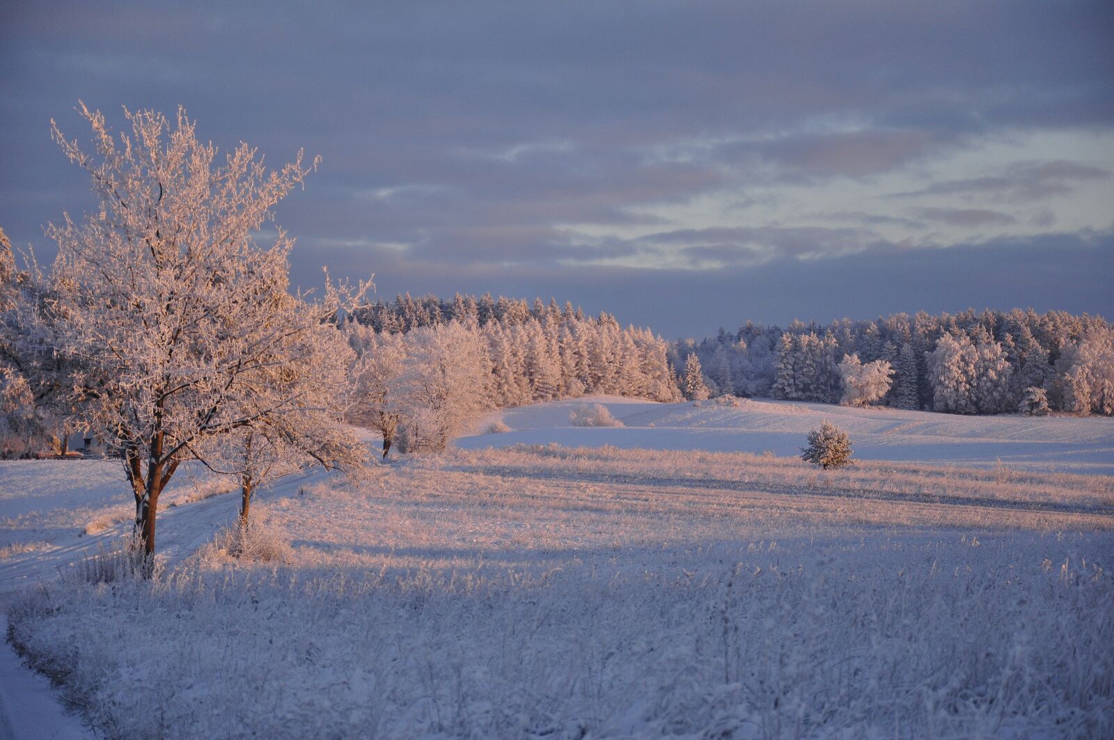 Nikon D90 sample photo. Winter, warmia, way photography