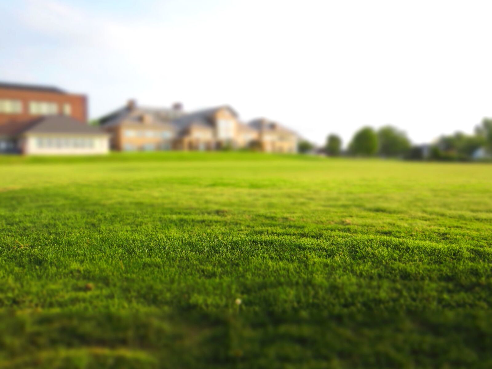 Canon PowerShot ELPH 300 HS (IXUS 220 HS / IXY 410F) sample photo. Green grass, lawn, summer photography