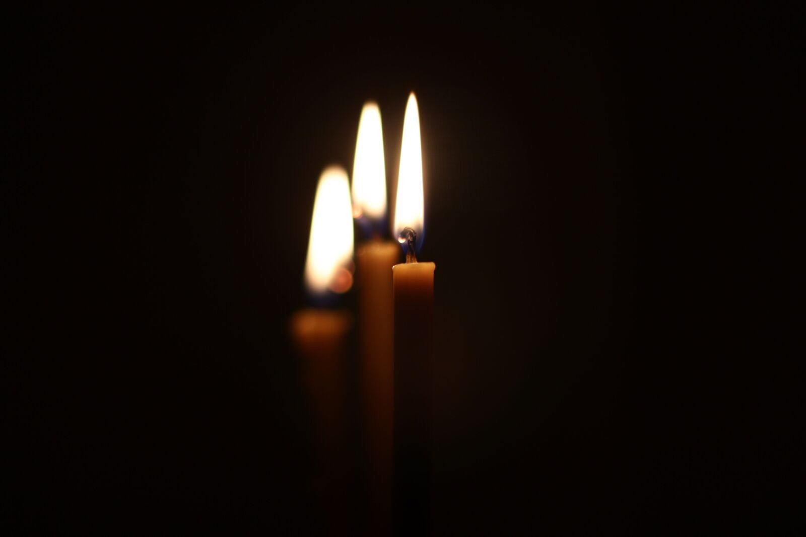 Canon EOS 700D (EOS Rebel T5i / EOS Kiss X7i) + Canon EF 50mm F1.4 USM sample photo. Candle, fire, burns photography