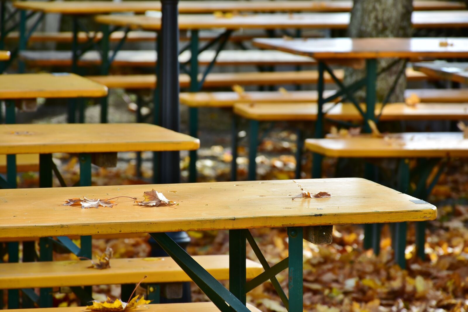 Nikon D7200 sample photo. Autumn, beer garden, mood photography