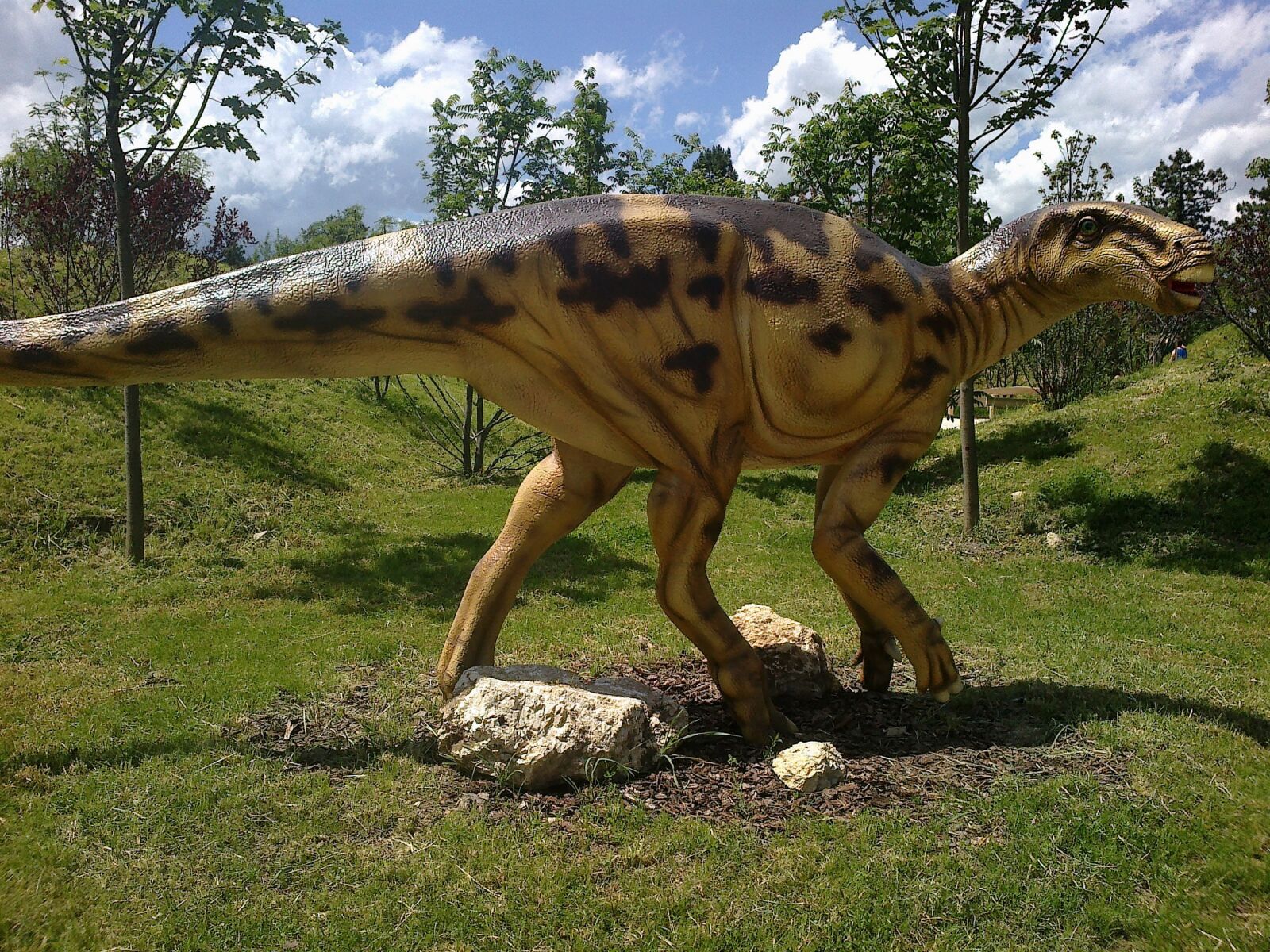 Nokia 500 sample photo. Dinosaur, veszpr m, dinosaur photography