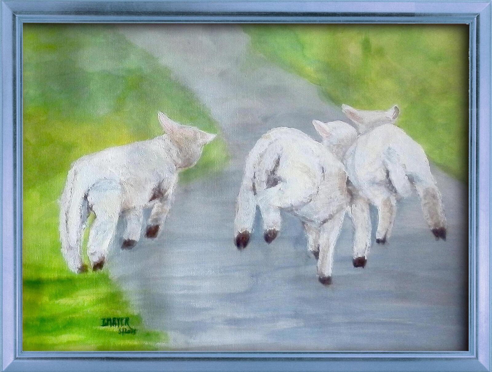 Olympus SZ-20 sample photo. Sheep, schäfchen, lamb photography