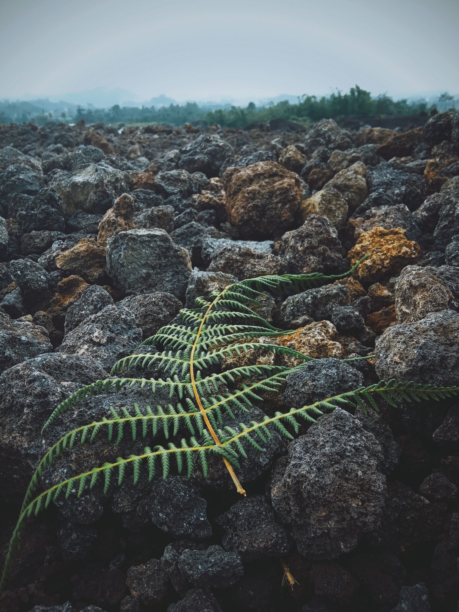 Xiaomi Redmi 6A sample photo. Natural, rocks, silence photography
