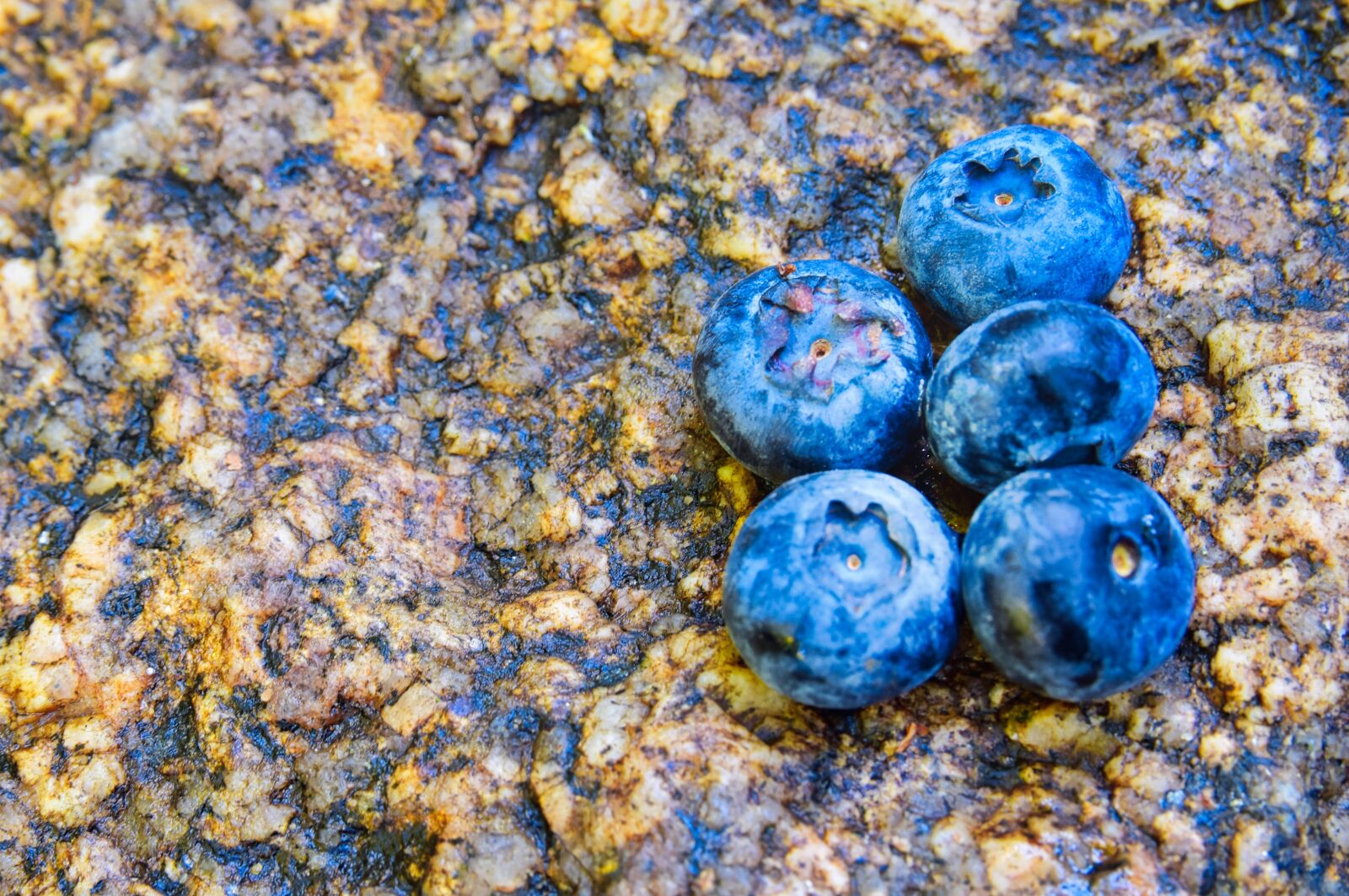 Nikon D5300 sample photo. Blueberries, berries, food photography