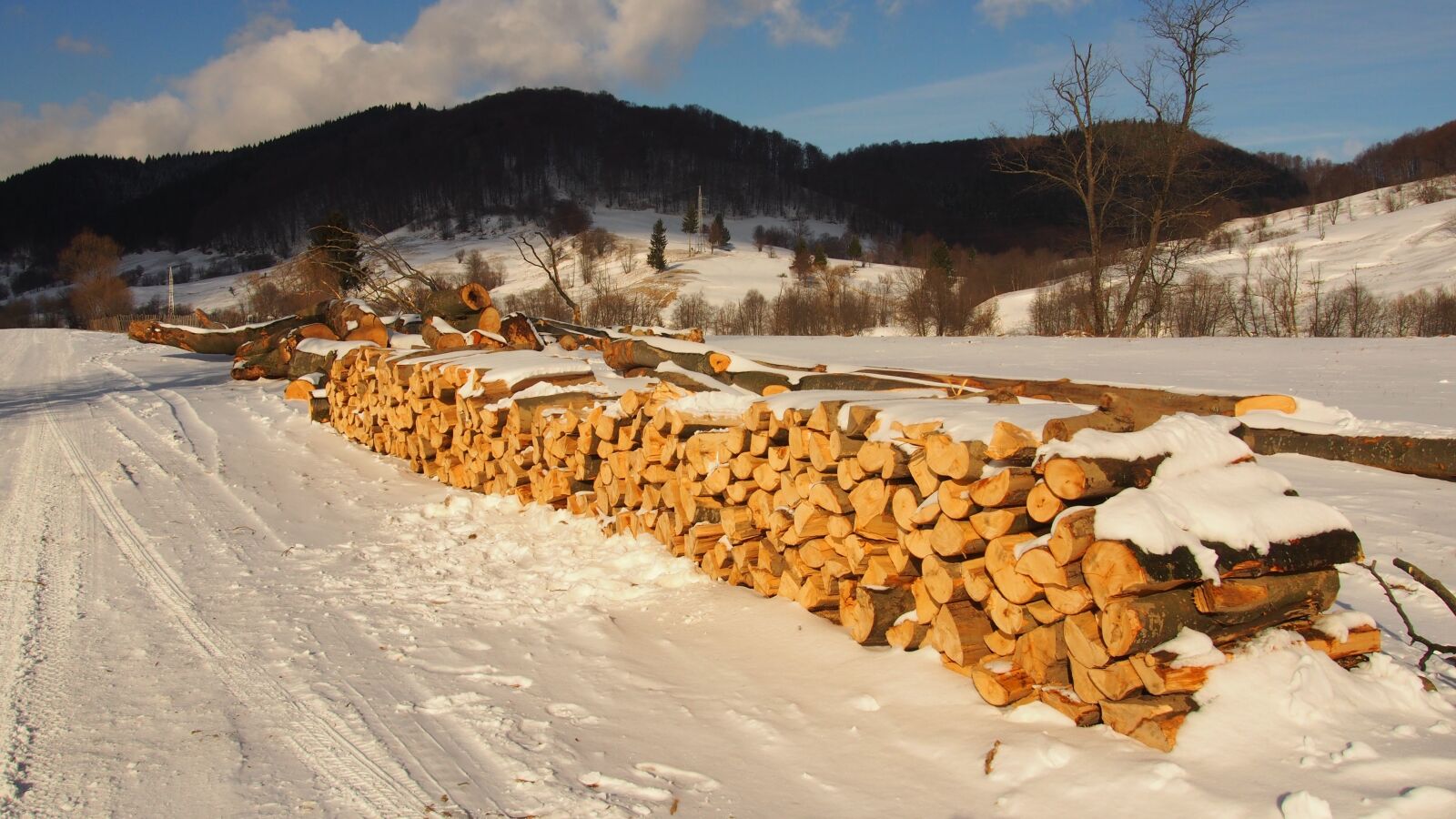 Olympus PEN E-PM2 sample photo. Firewood, winter, snow photography