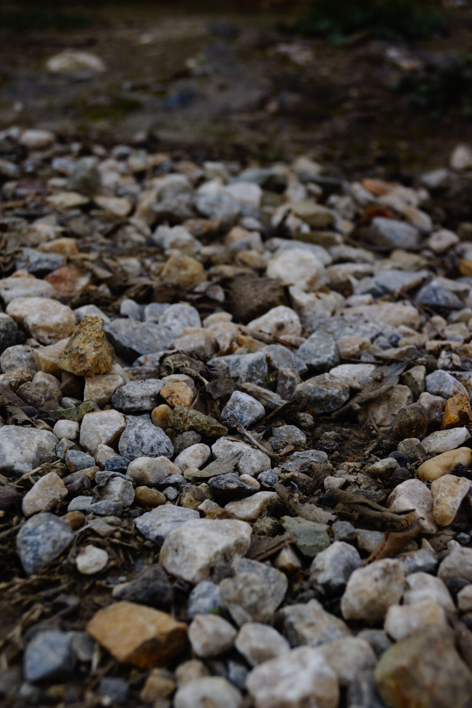 Sony SLT-A65 (SLT-A65V) + Sony DT 18-55mm F3.5-5.6 SAM sample photo. Stones, ground, gravel photography