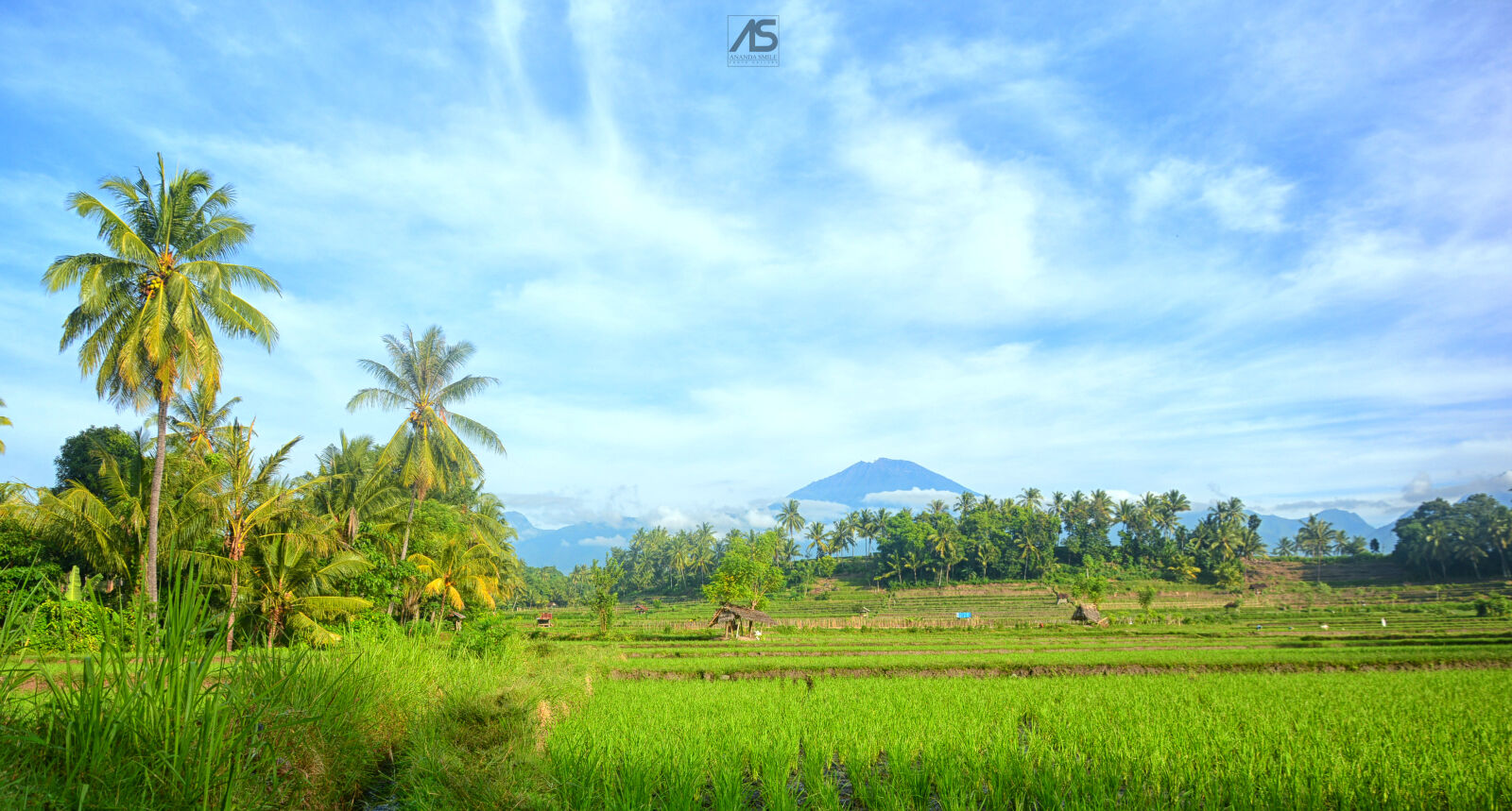 Nikon D7100 sample photo
