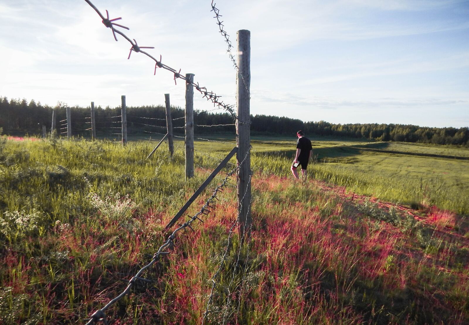 Nikon Coolpix L830 sample photo. Field, man, countryside photography