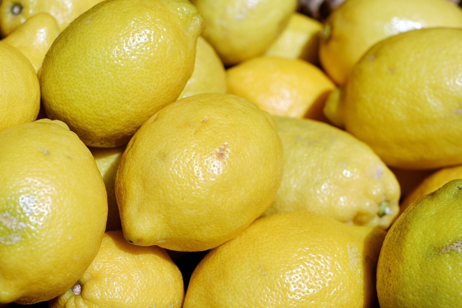 Fujifilm X-T10 + Fujifilm XF 35mm F1.4 R sample photo. Lemons, yellow, fruit photography