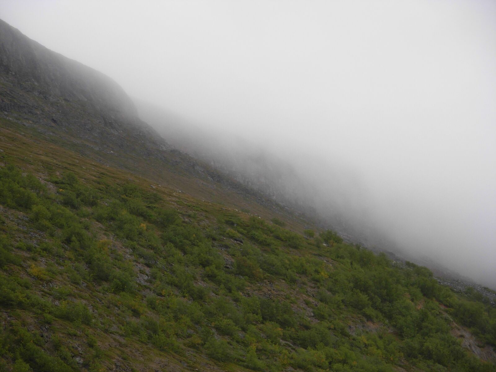 Nikon COOLPIX L5 sample photo. Mountain, fog, nature photography