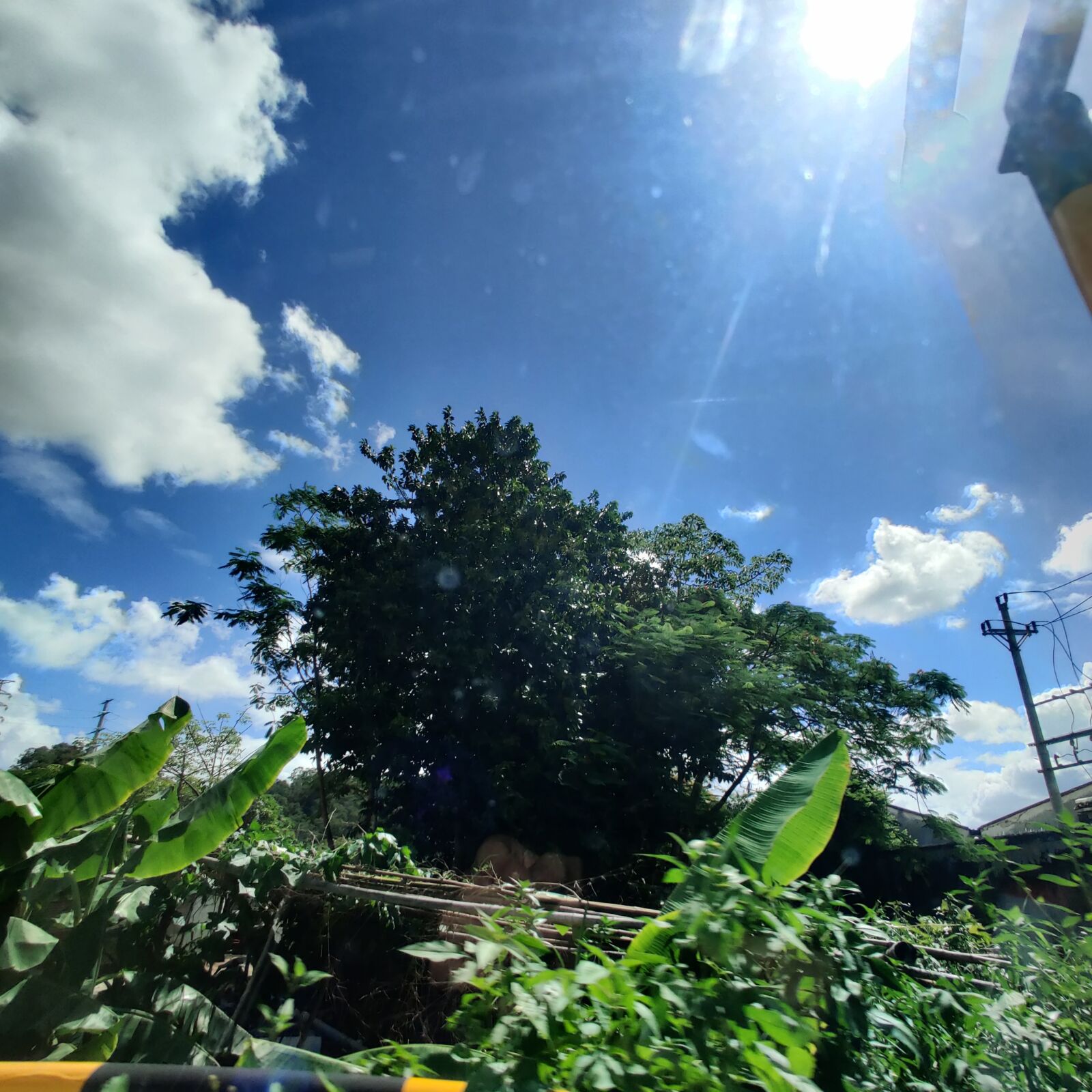 OnePlus GM1910 sample photo. Sky, street view, tree photography