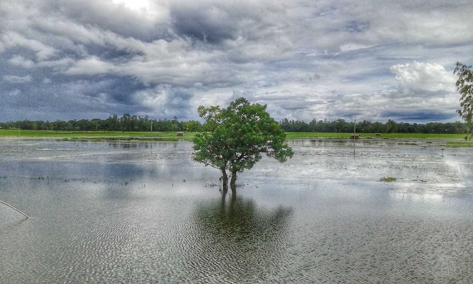 Samsung Galaxy Core Prime sample photo. Cloudy, sky, lonely, tree photography