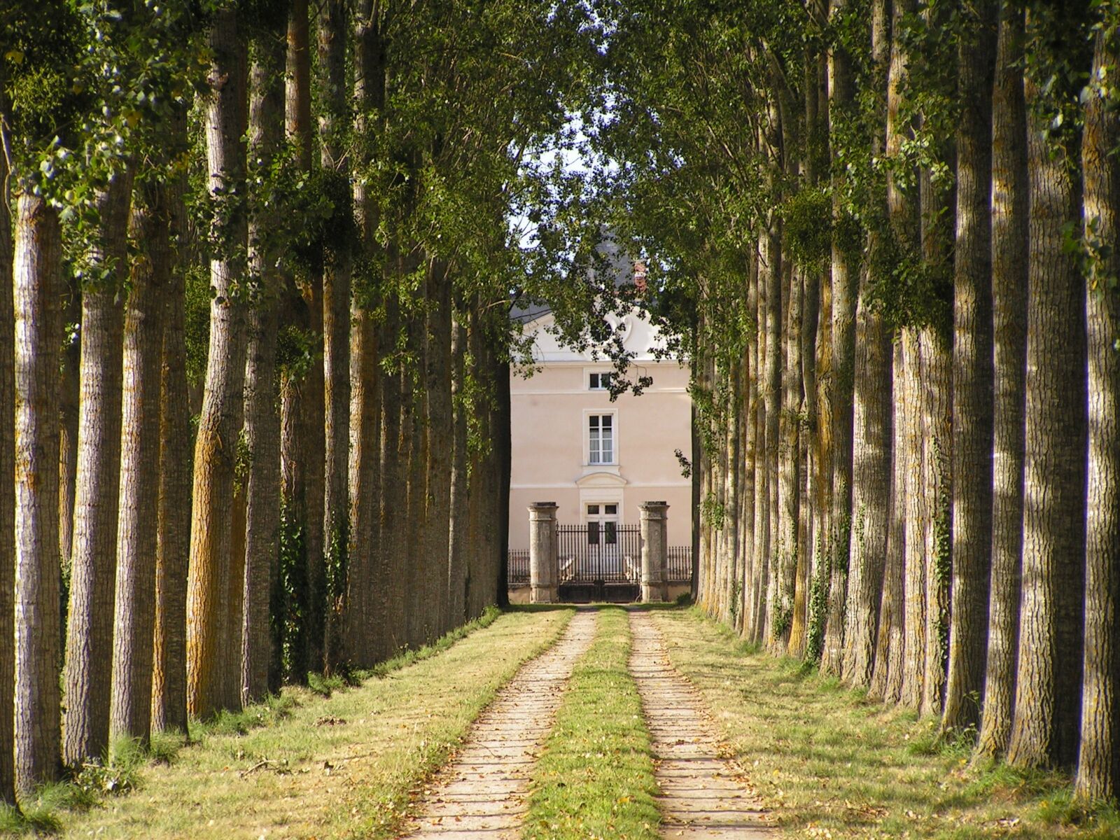 KONICA MINOLTA DiMAGE Z2 sample photo. Castle, driveway, trees photography