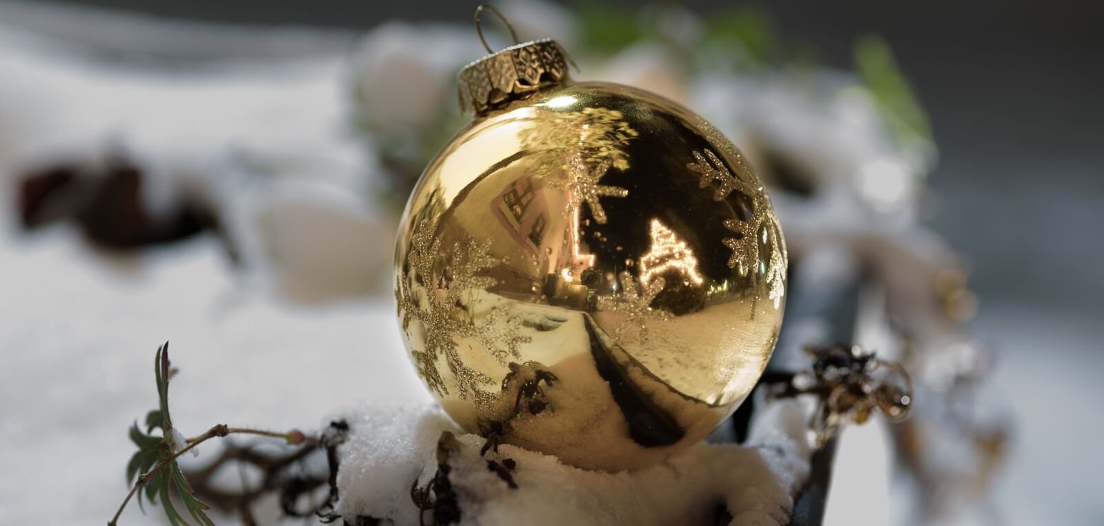 Tamron SP 90mm F2.8 Di VC USD 1:1 Macro sample photo. Christmas, winter, shiny photography