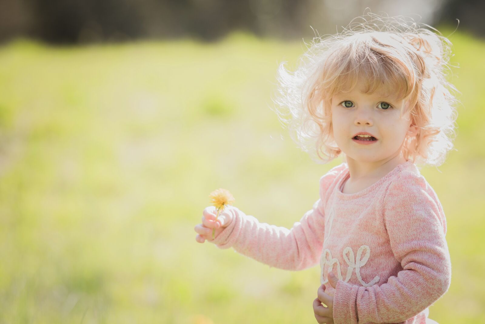 Nikon D810 sample photo. Child, nature, summer photography