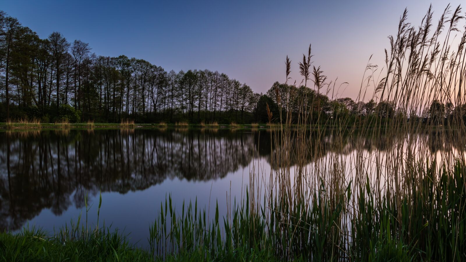 Canon EOS 80D sample photo. Grass, pond, nature photography
