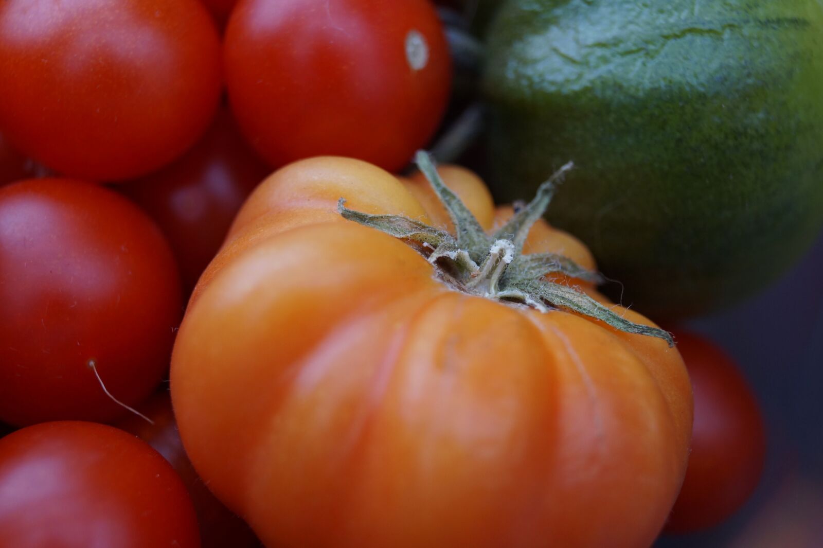 Sony DT 18-55mm F3.5-5.6 SAM II sample photo. Tomatoes, vegetables, food photography
