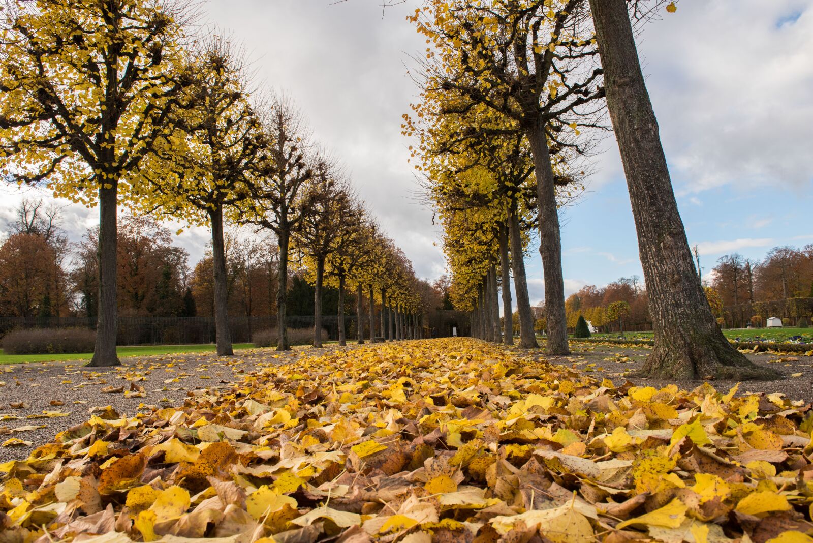 Nikon D810 sample photo. Palace, autumn, leaves photography