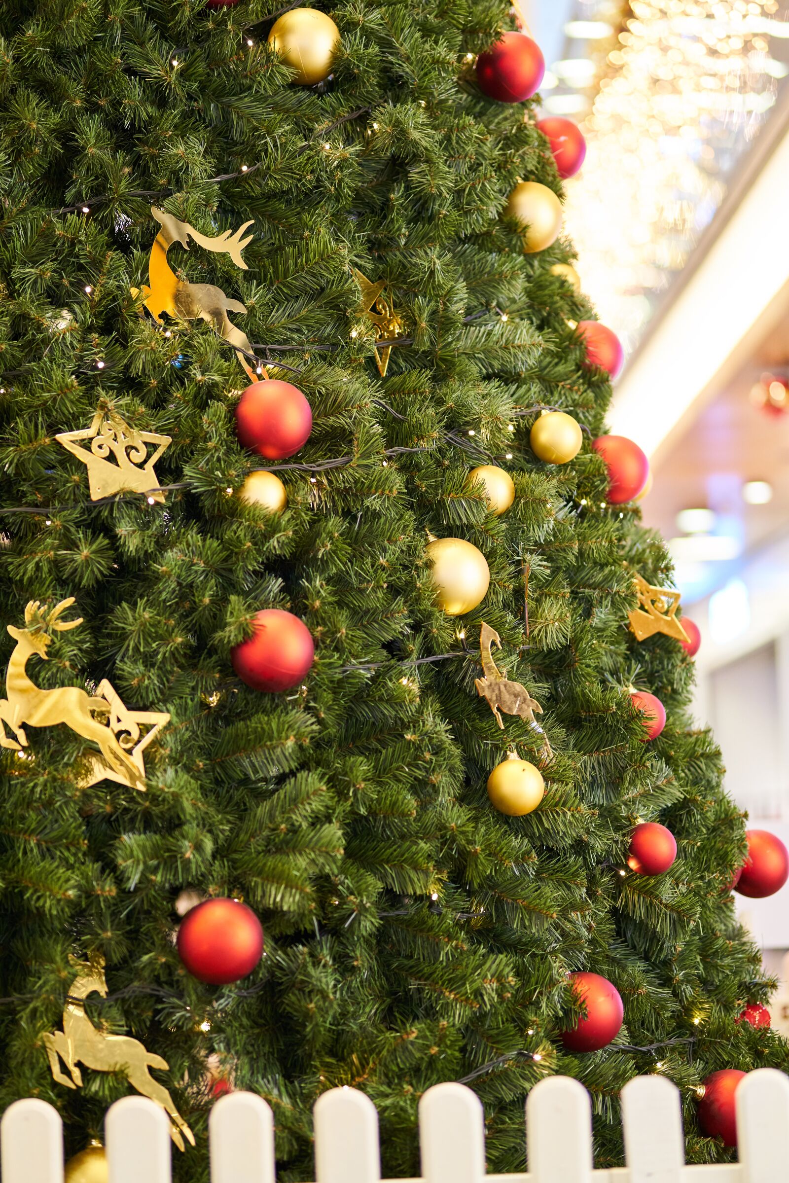 Sigma 85mm F1.4 DG HSM Art sample photo. Christmas, new year, 2019 photography