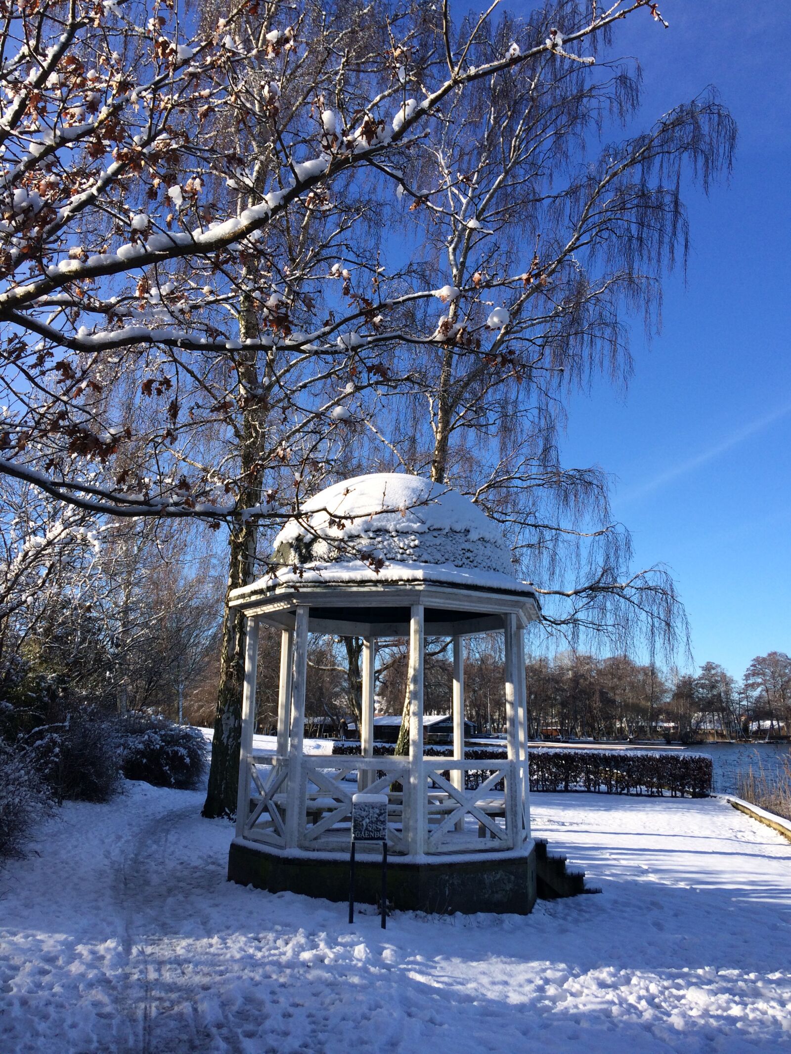 iPhone 5s back camera 4.15mm f/2.2 sample photo. Winter, snow, outdoor photography