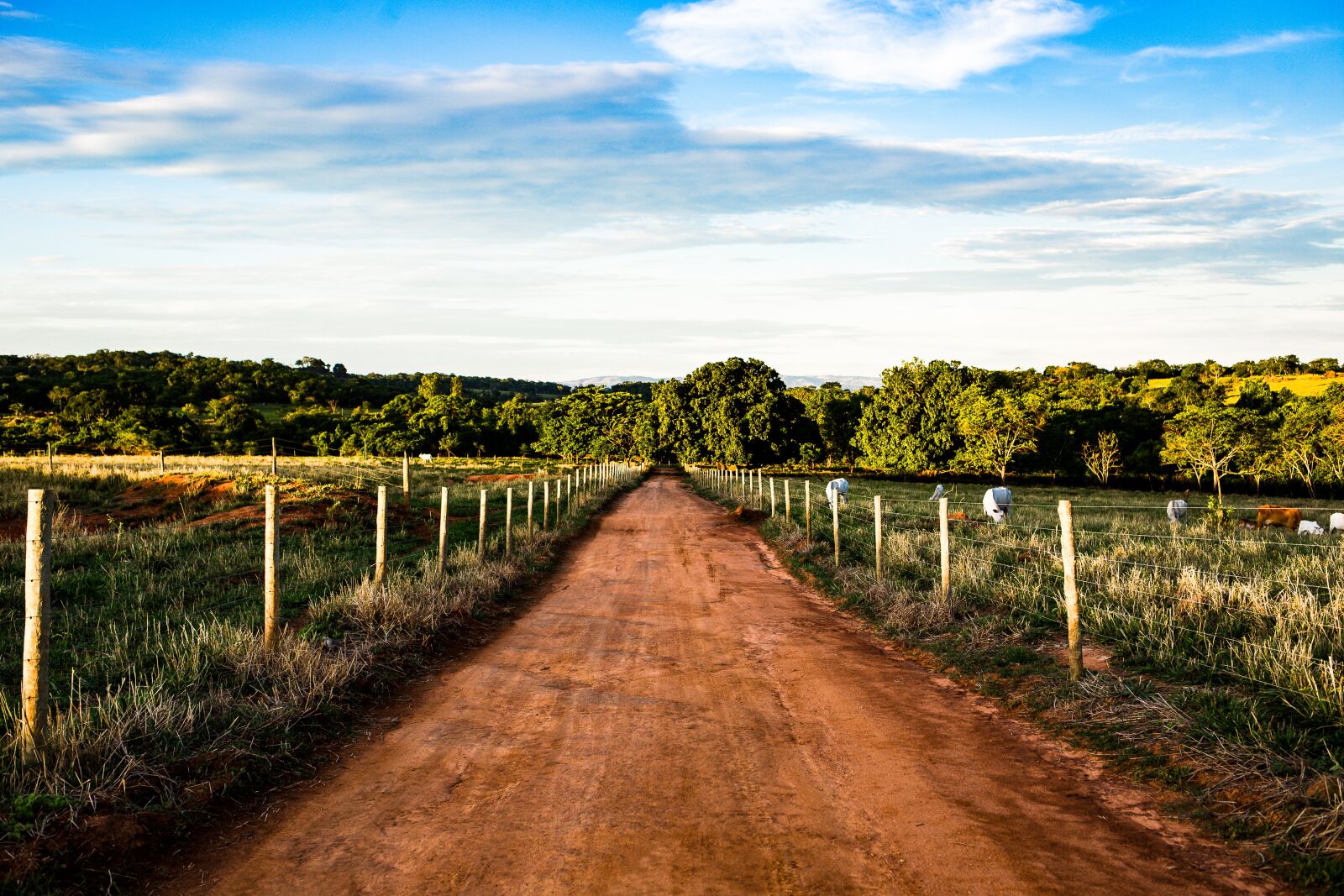 Canon EOS 6D + Canon EF 35mm F2 IS USM sample photo. Road, rural zone, field photography