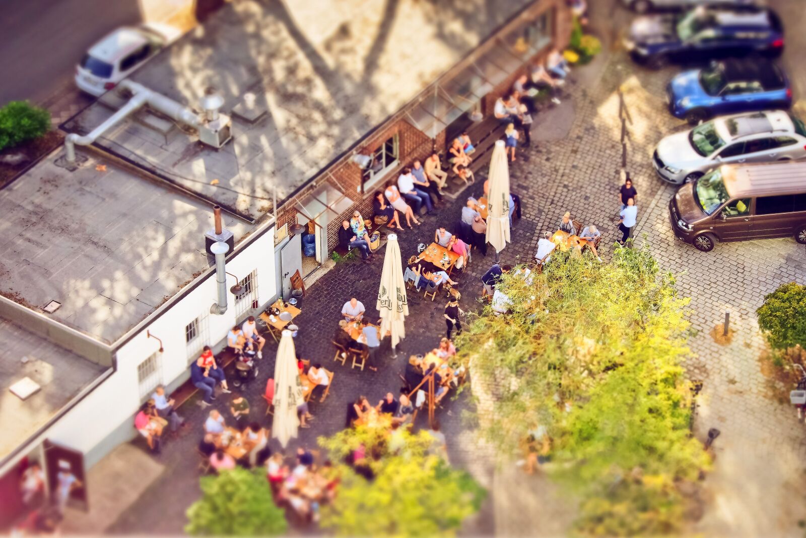 Olympus OM-D E-M10 sample photo. Restaurant, human, cafe photography