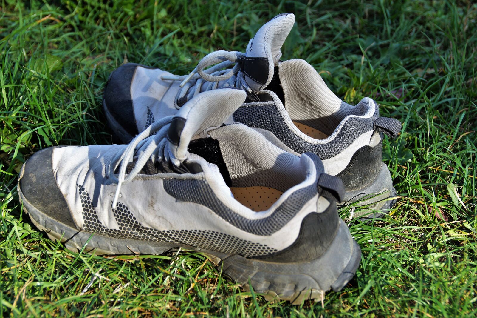 Sony SLT-A58 sample photo. Boots, in the grass photography