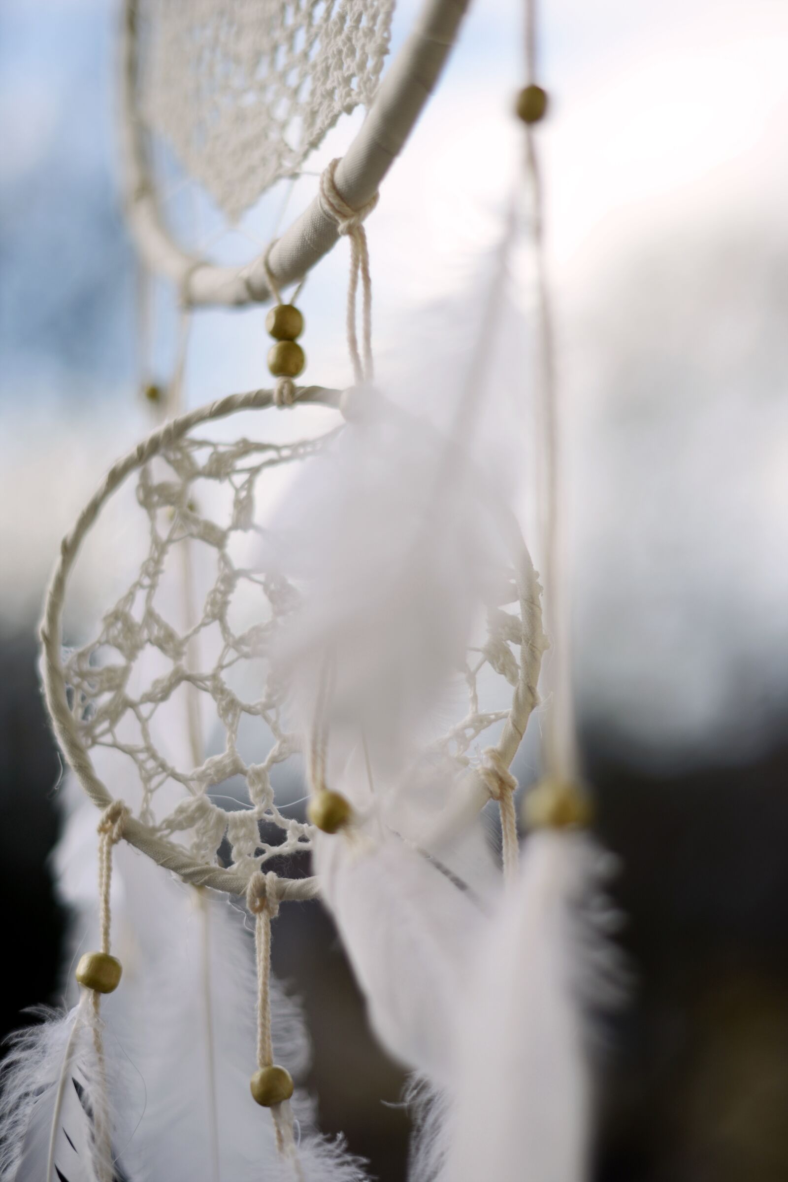 Nikon D800 sample photo. Dream catcher, dreamcatcher, feather photography