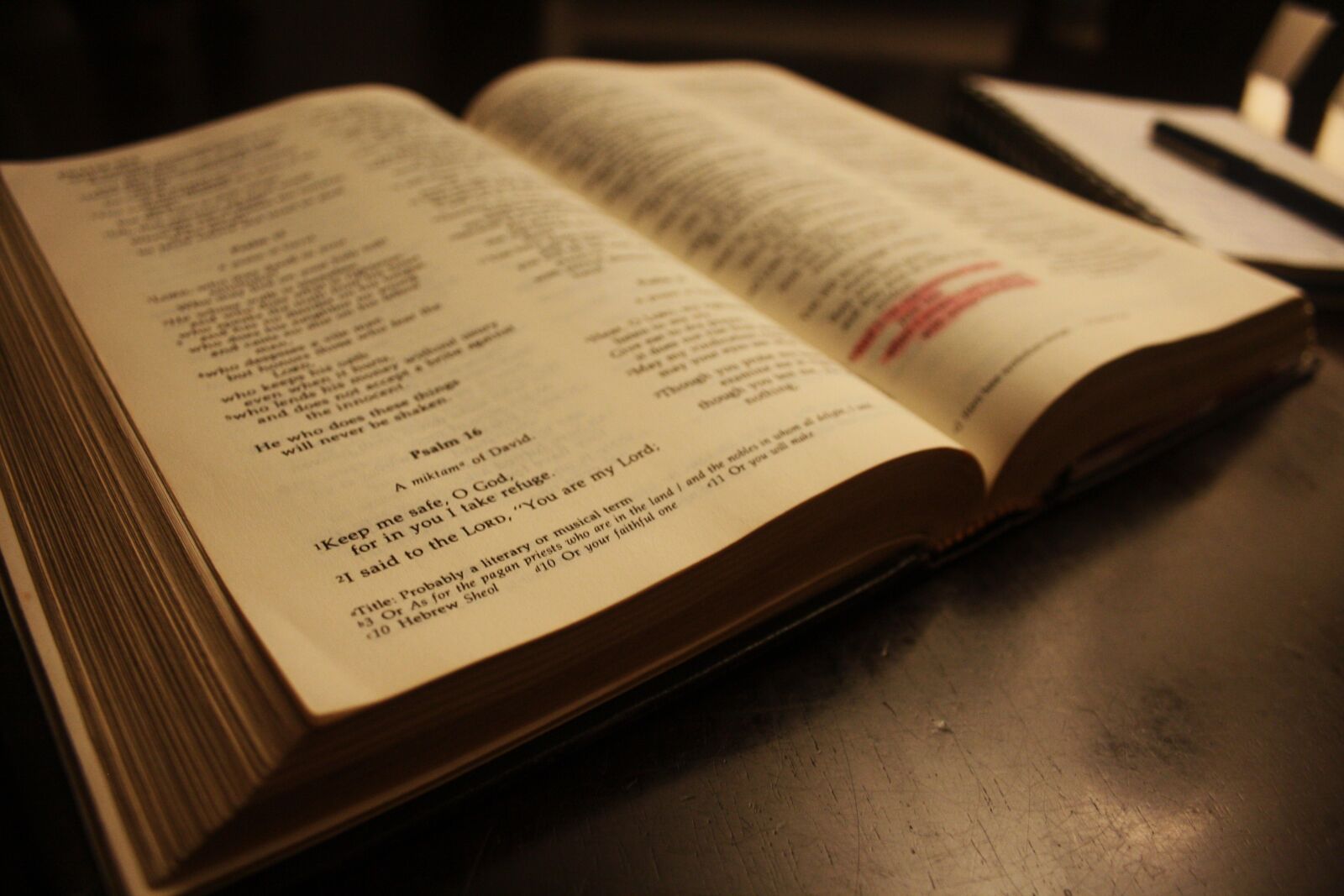 Canon EOS 1000D (EOS Digital Rebel XS / EOS Kiss F) sample photo. Book, bible, text photography
