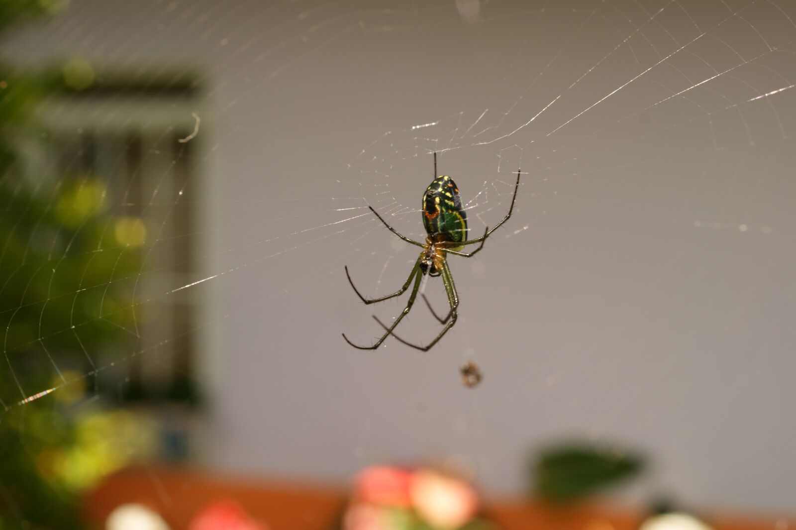 Sony Alpha DSLR-A390 sample photo. Nature, in, the photography