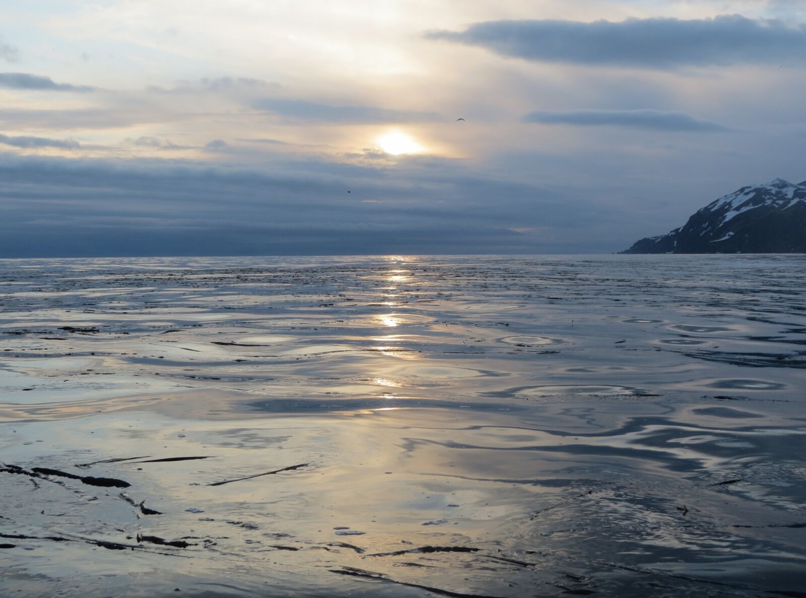 Canon PowerShot SX40 HS sample photo. The pacific ocean, evening photography