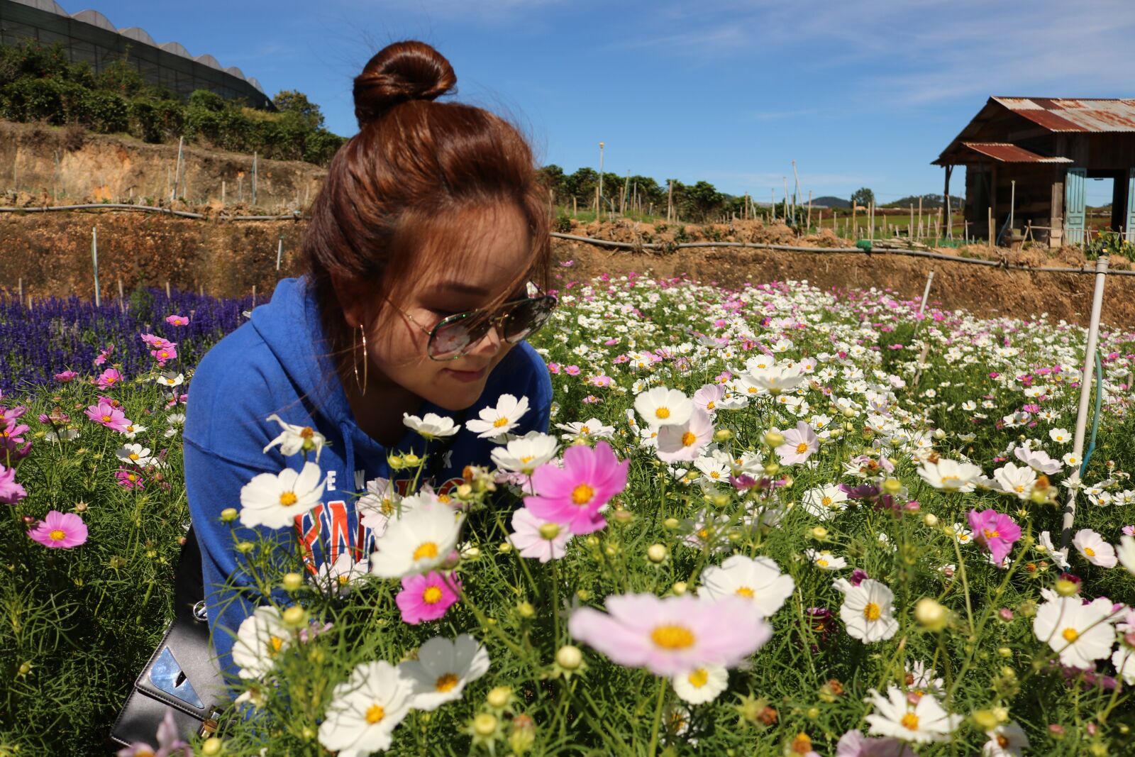 Canon EOS 750D (EOS Rebel T6i / EOS Kiss X8i) + Canon EF-S 18-55mm F3.5-5.6 IS STM sample photo. Flowers, girls, da lat photography