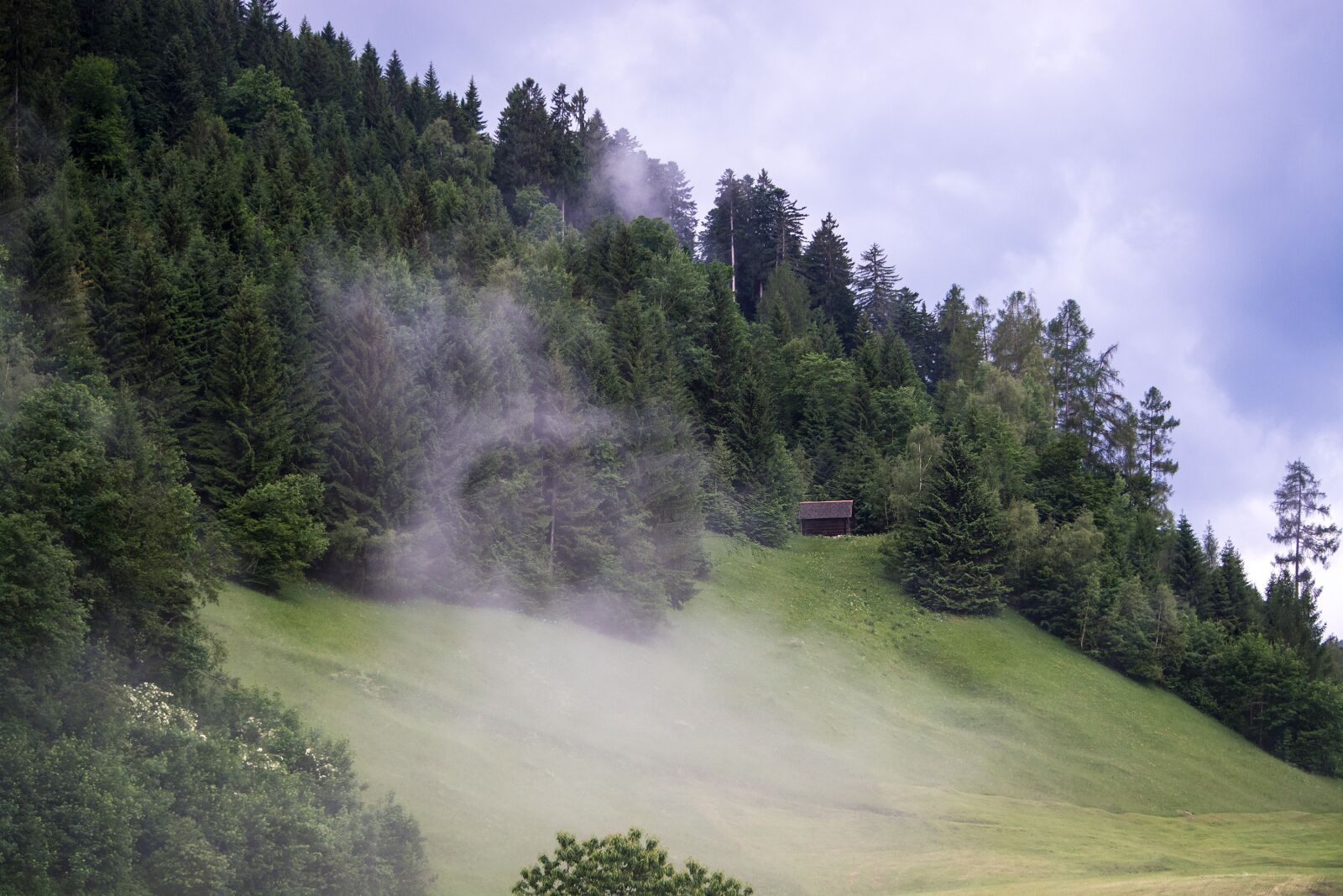Nikon D7100 sample photo. Landscape, nature, meadow photography