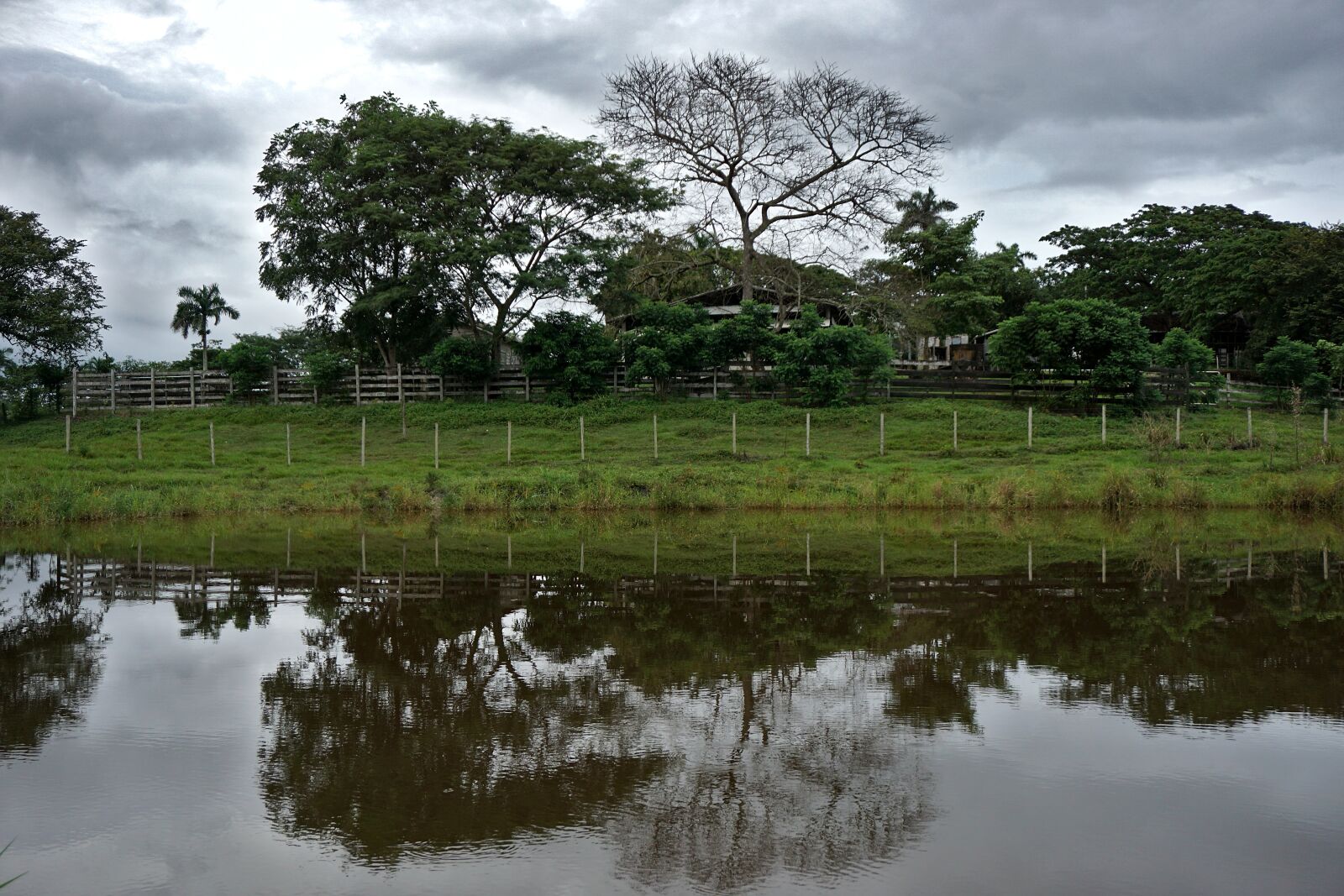 Sony E 16-50mm F3.5-5.6 PZ OSS sample photo. Farm, pond, reflection photography