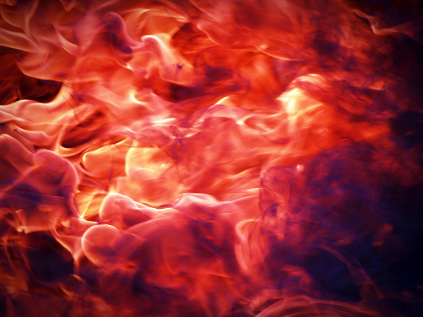Olympus E-300 (EVOLT E-300) sample photo. Background, beautiful, blaze, blazing photography