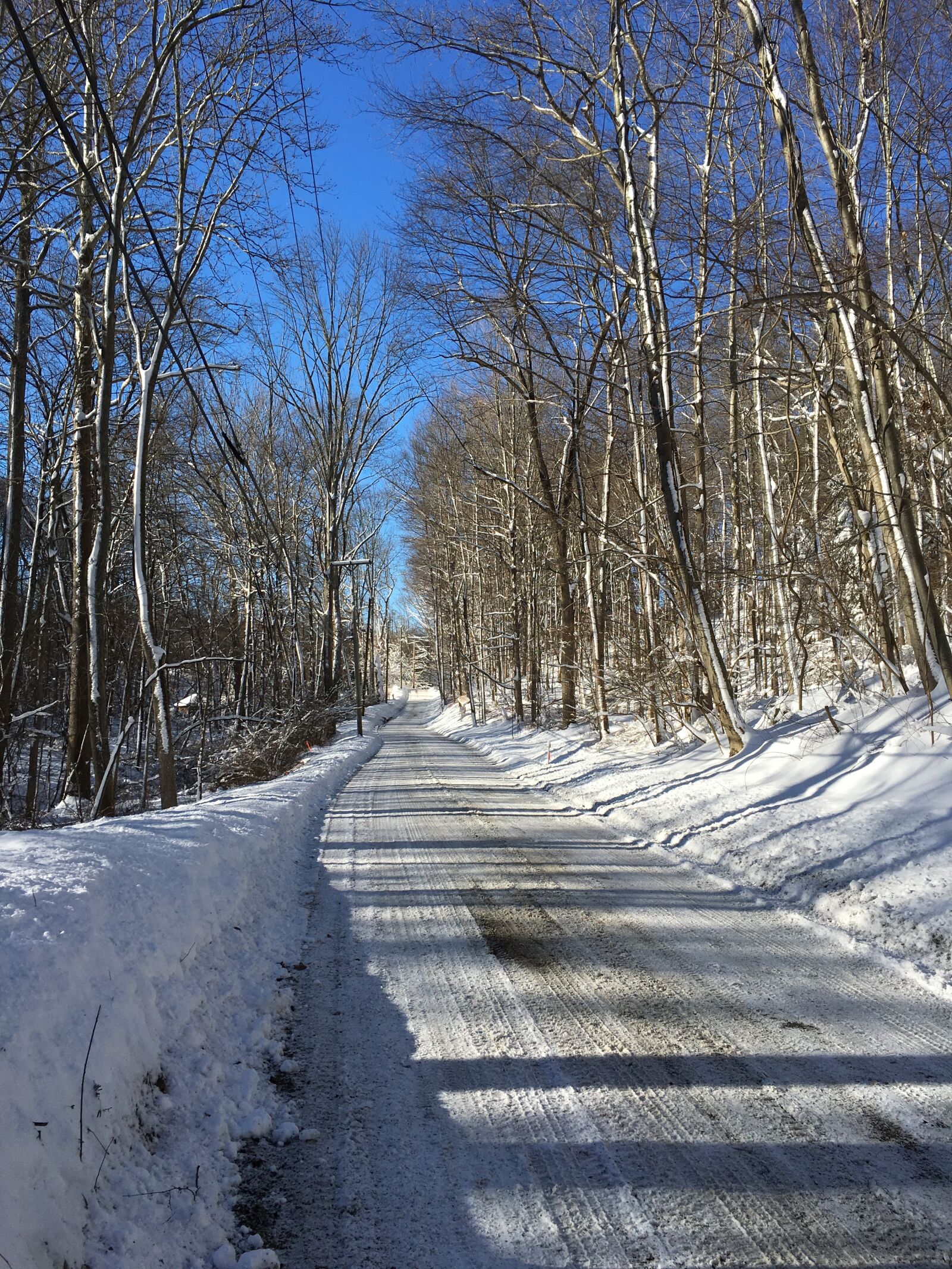 Apple iPhone 6s sample photo. Road, winter, snow photography