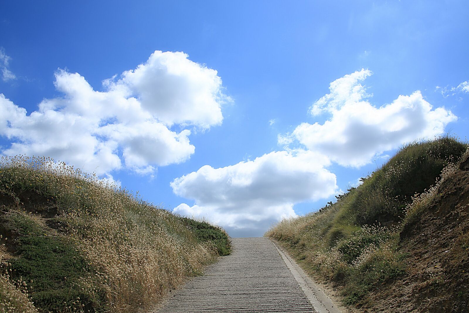 Canon EOS 5D Mark III sample photo. Landscape, sky, cloudy sky photography