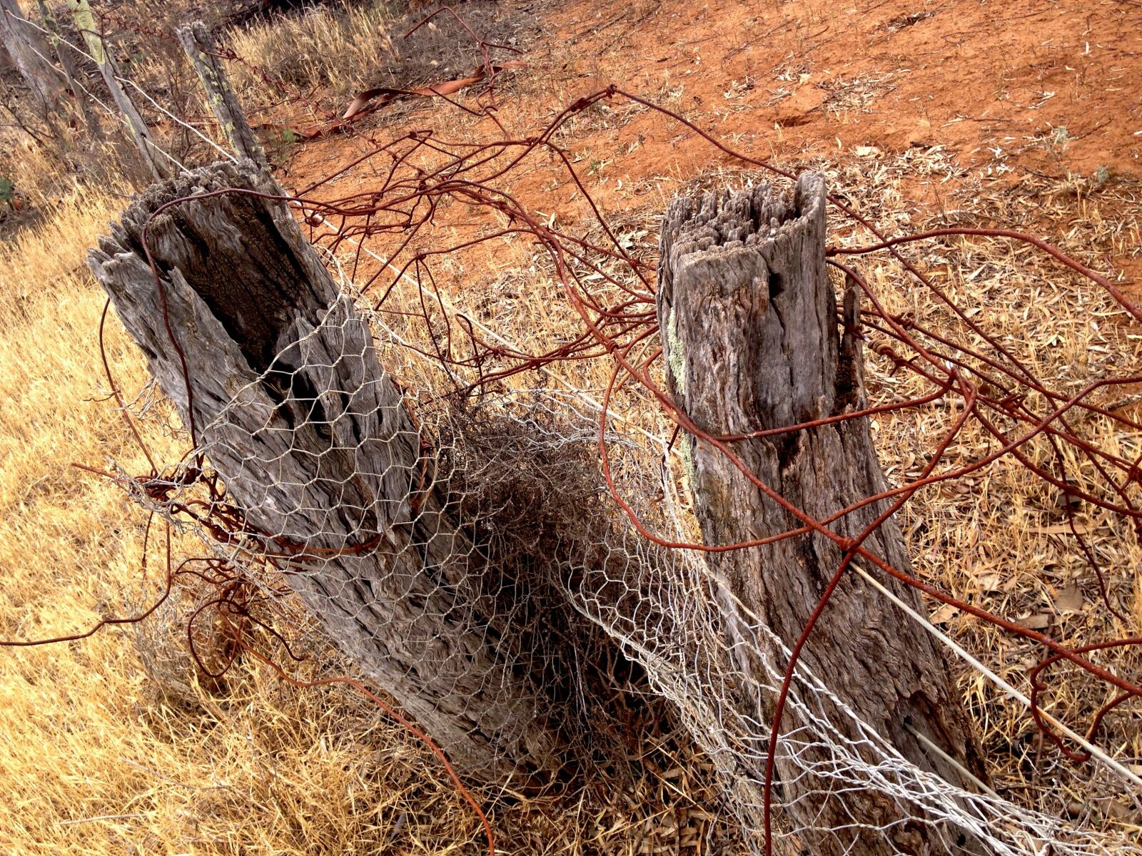 iPhone 5c back camera 4.12mm f/2.4 sample photo. Abstract, farm, farm, fence photography
