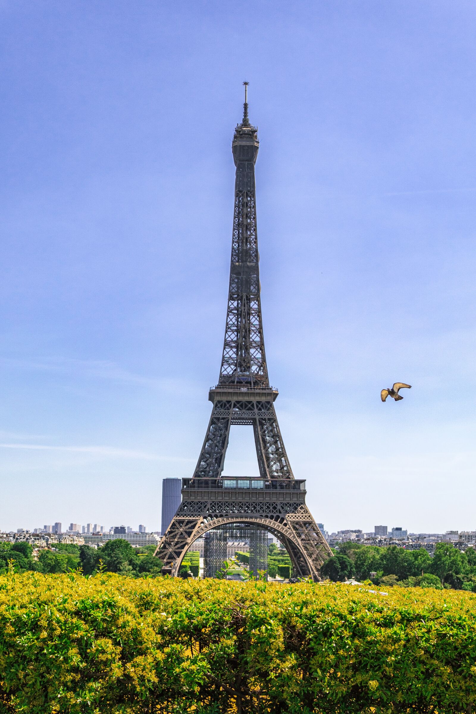 Canon EOS 4000D (EOS Rebel T100 / EOS 3000D) sample photo. Eiffel tower, travel, vacancy photography