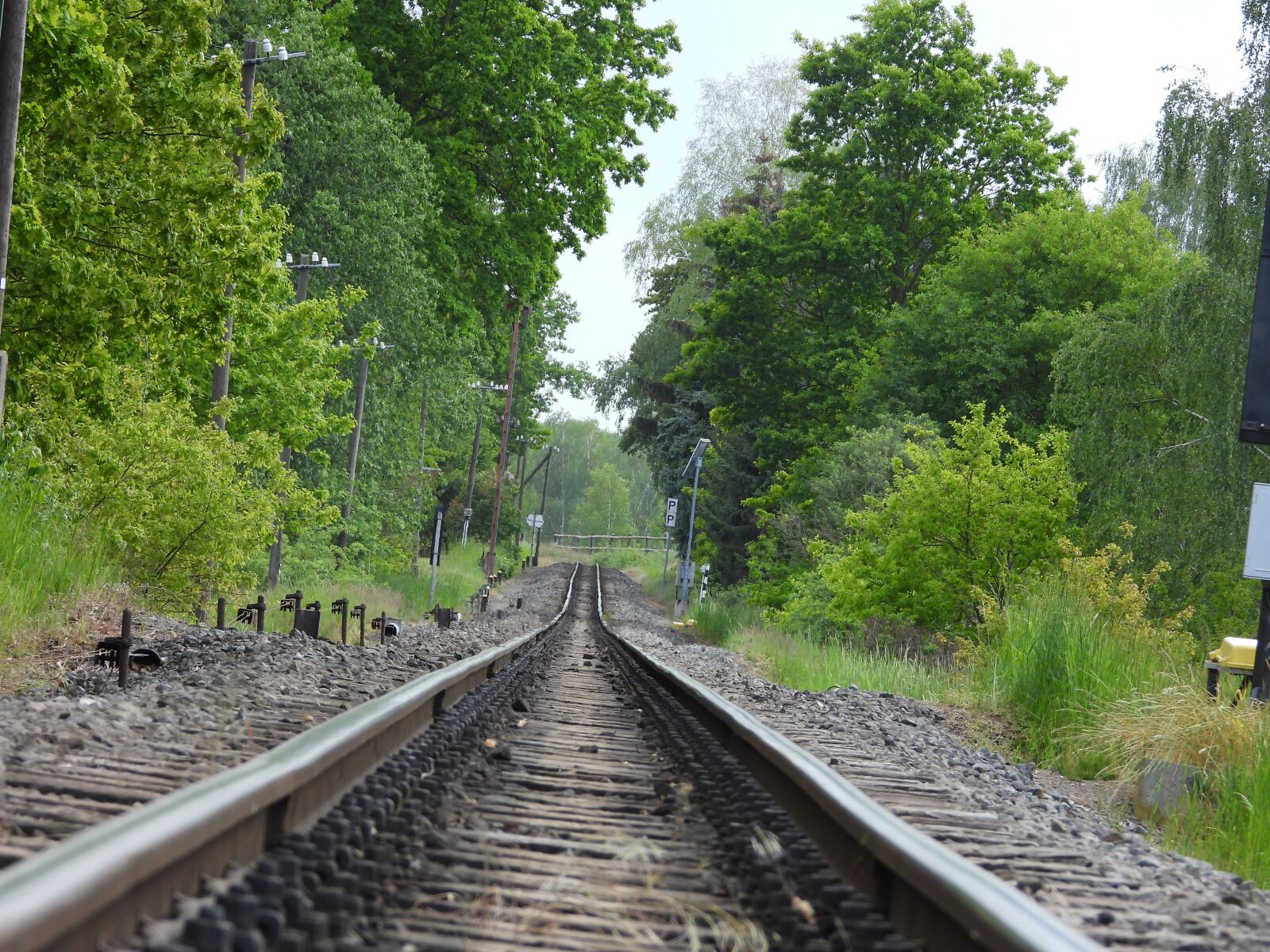 Nikon Coolpix P1000 sample photo. Railway, track, gleise photography
