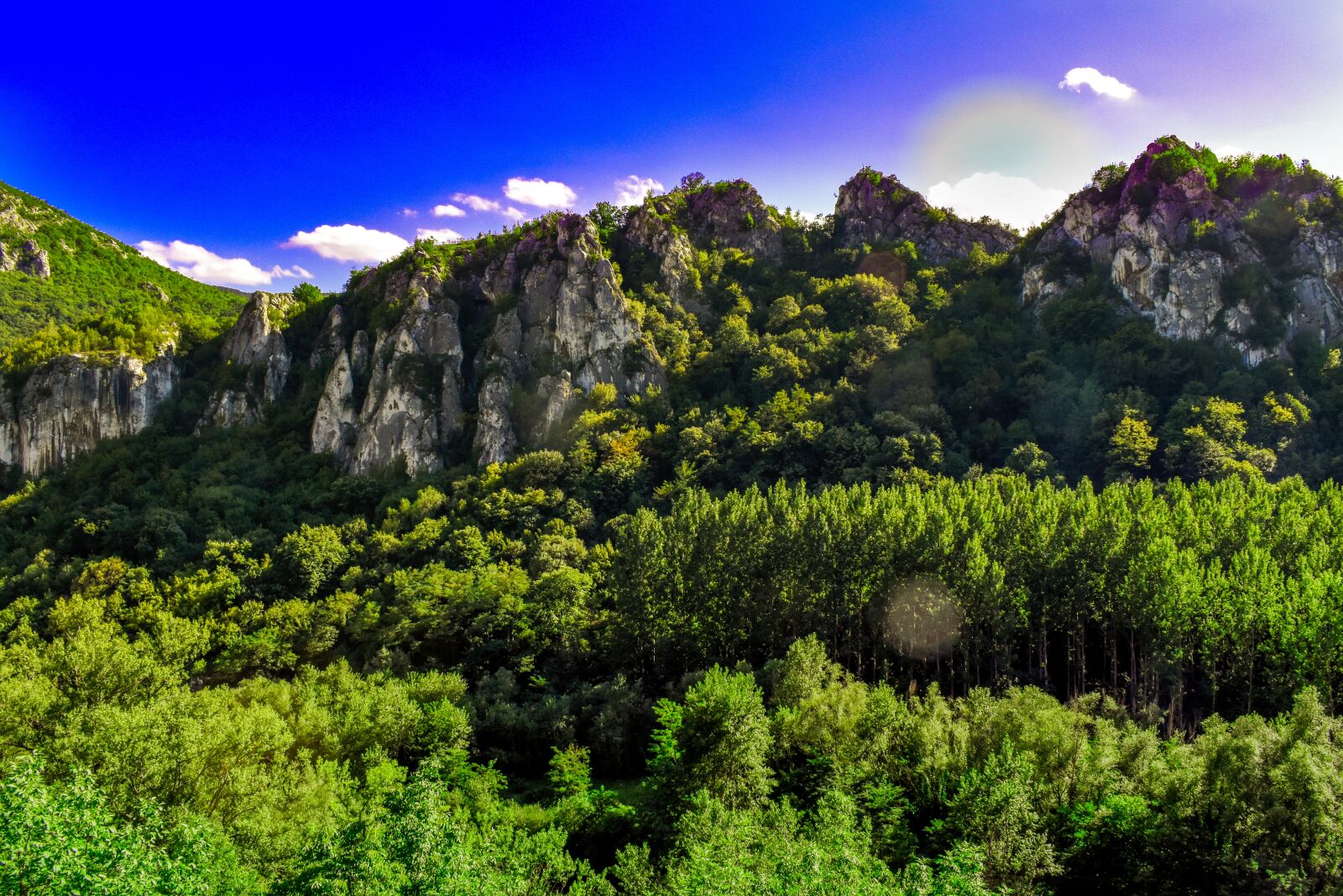 Nikon D5600 sample photo. Landscape, mountains, forest photography
