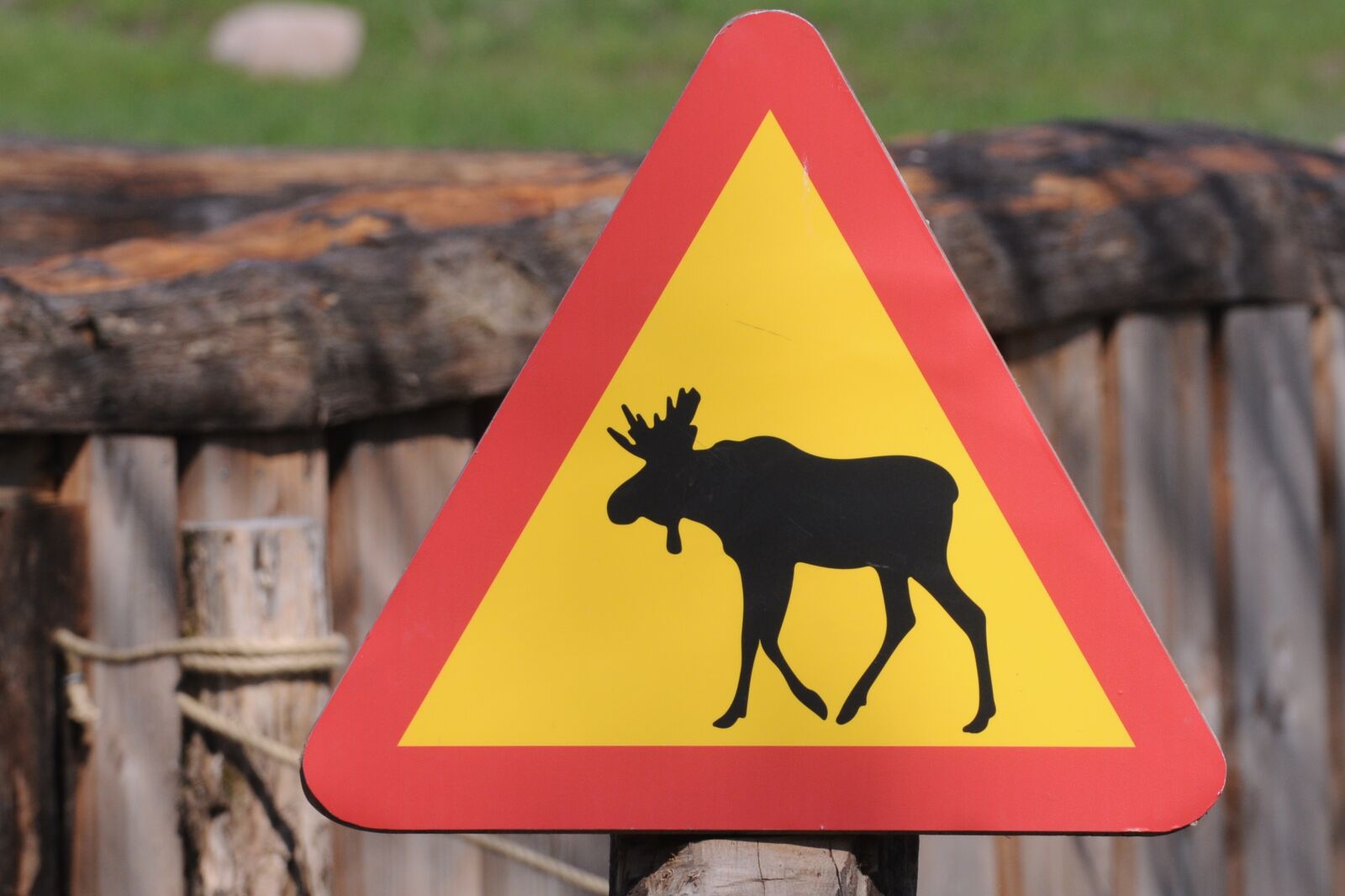 Nikon D90 sample photo. Panel, danger, deer photography