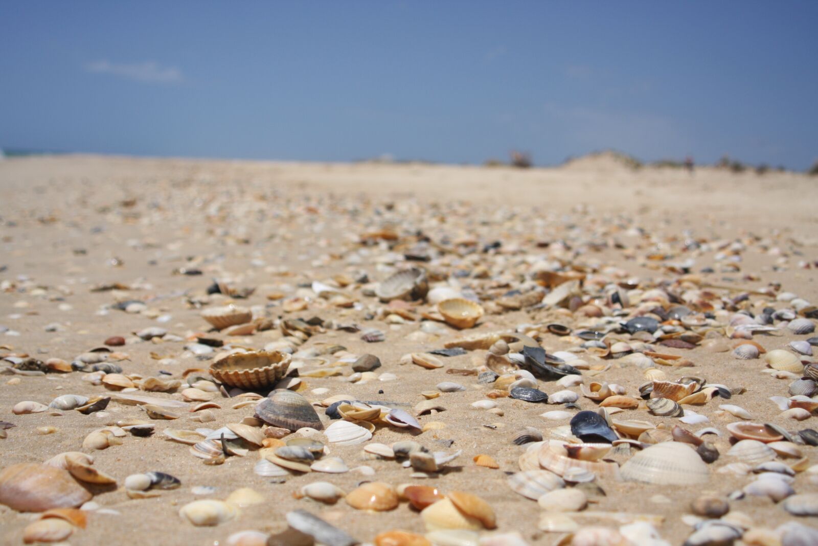 Canon EOS 40D sample photo. Sand, beach, nature photography