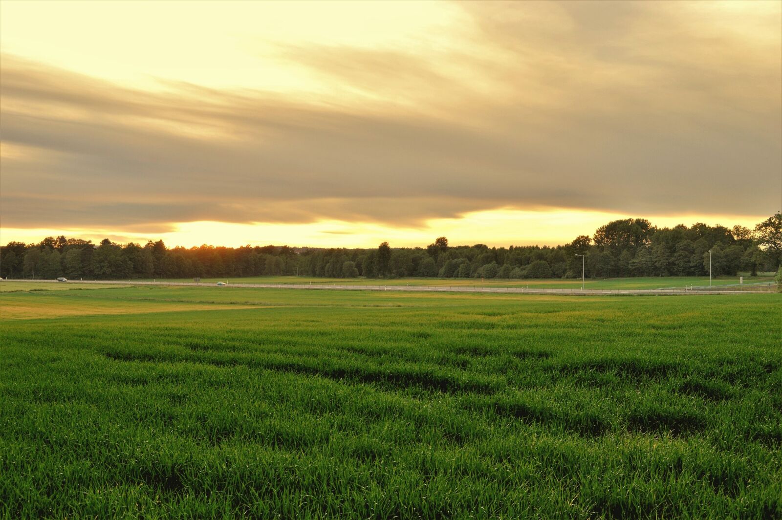 Nikon D3200 sample photo. Summer, sunset, sweden photography